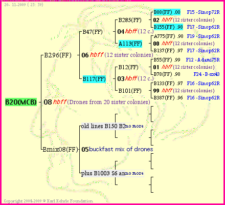 Pedigree of B20(MCB) :
four generations presented