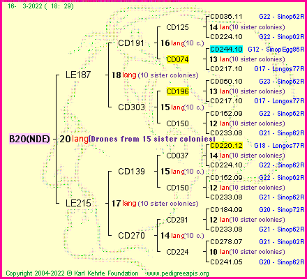 Pedigree of B20(NDE) :
four generations presented
it's temporarily unavailable, sorry!