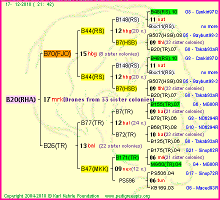 Pedigree of B20(RHA) :
four generations presented
it's temporarily unavailable, sorry!