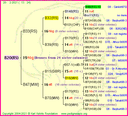 Pedigree of B20(RS) :
four generations presented
it's temporarily unavailable, sorry!