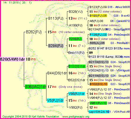 Pedigree of B20(SAW)1dr :
four generations presented<br />it's temporarily unavailable, sorry!