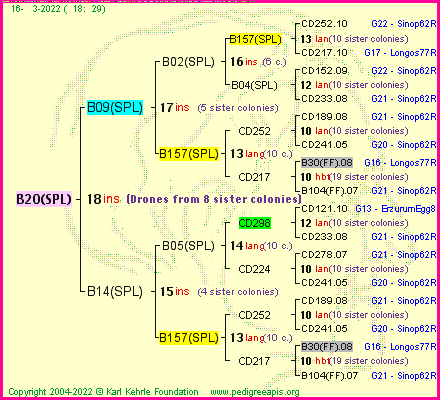 Pedigree of B20(SPL) :
four generations presented
it's temporarily unavailable, sorry!