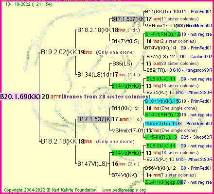 Pedigree of B20.1.69(KK) :
four generations presented
it's temporarily unavailable, sorry!