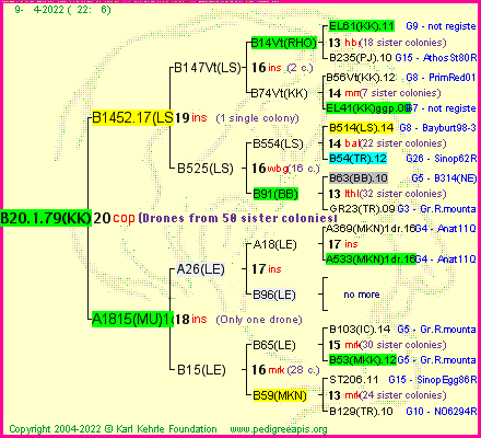 Pedigree of B20.1.79(KK) :
four generations presented
it's temporarily unavailable, sorry!