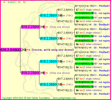 Pedigree of B20.2.04(KK)1dr :
four generations presented
it's temporarily unavailable, sorry!