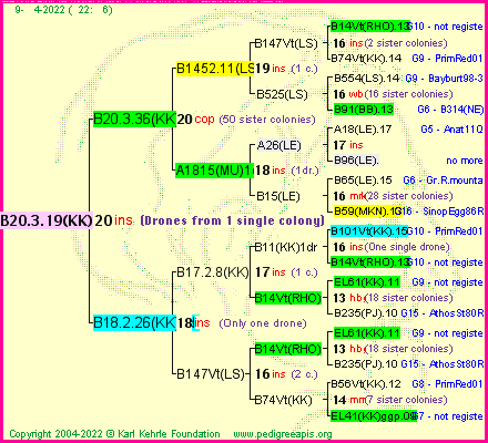 Pedigree of B20.3.19(KK) :
four generations presented
it's temporarily unavailable, sorry!