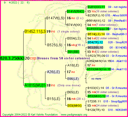 Pedigree of B20.3.25(KK) :
four generations presented
it's temporarily unavailable, sorry!