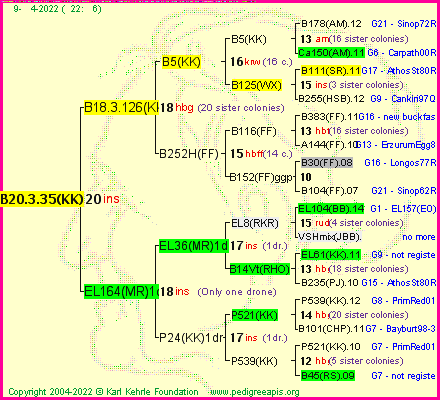 Pedigree of B20.3.35(KK) :
four generations presented
it's temporarily unavailable, sorry!