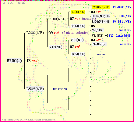 Pedigree of B200(..) :
four generations presented