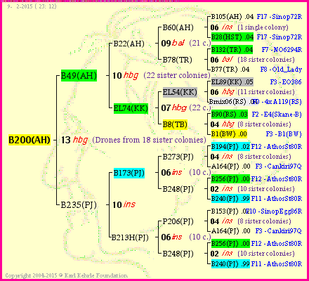 Pedigree of B200(AH) :
four generations presented