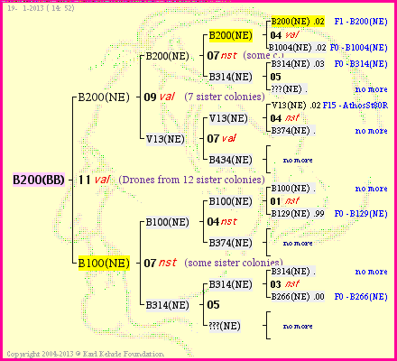 Pedigree of B200(BB) :
four generations presented<br />it's temporarily unavailable, sorry!