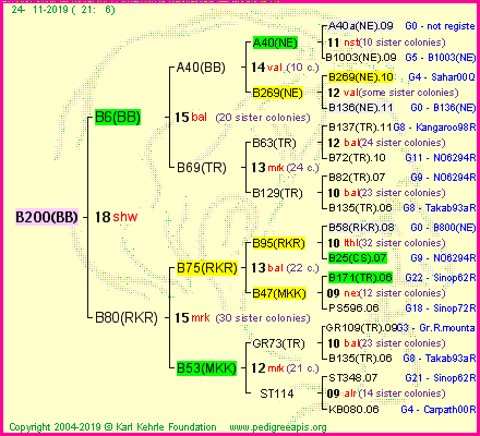 Pedigree of B200(BB) :
four generations presented<br />it's temporarily unavailable, sorry!