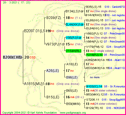 Pedigree of B200(CHB) :
four generations presented
it's temporarily unavailable, sorry!