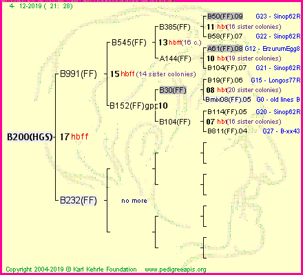 Pedigree of B200(HGS) :
four generations presented<br />it's temporarily unavailable, sorry!