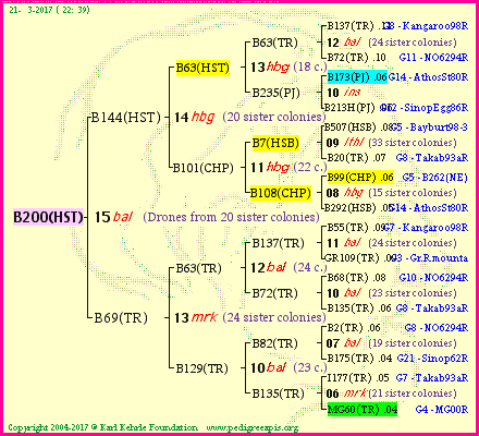 Pedigree of B200(HST) :
four generations presented