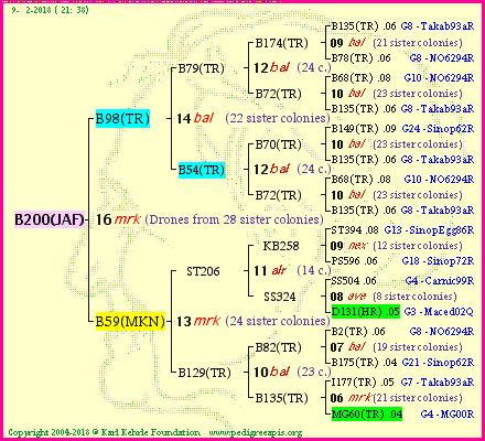 Pedigree of B200(JAF) :
four generations presented