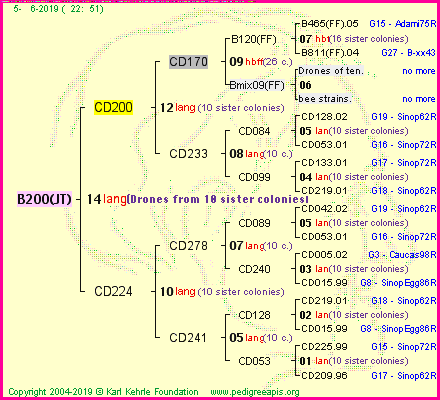 Pedigree of B200(JT) :
four generations presented<br />it's temporarily unavailable, sorry!