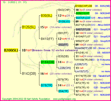 Pedigree of B200(SL) :
four generations presented
it's temporarily unavailable, sorry!