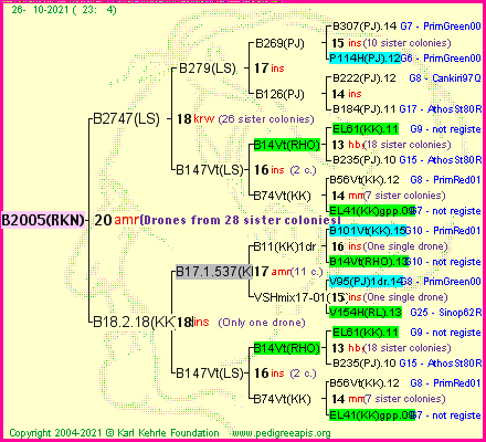 Pedigree of B2005(RKN) :
four generations presented
it's temporarily unavailable, sorry!