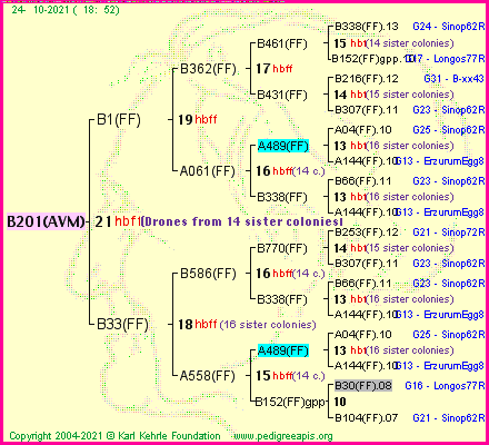 Pedigree of B201(AVM) :
four generations presented
it's temporarily unavailable, sorry!