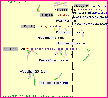 Pedigree of B201(BB) :
four generations presented
it's temporarily unavailable, sorry!