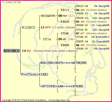 Pedigree of B201(BCI) :
four generations presented