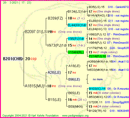 Pedigree of B201(CHB) :
four generations presented
it's temporarily unavailable, sorry!