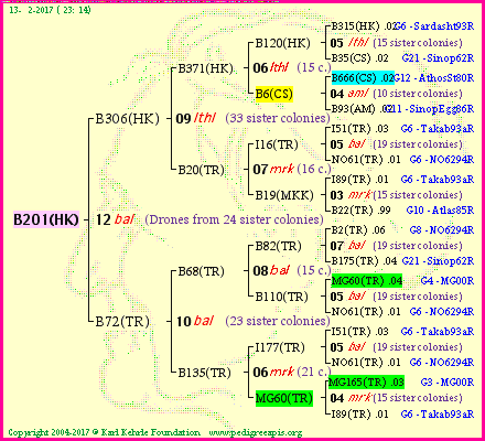 Pedigree of B201(HK) :
four generations presented