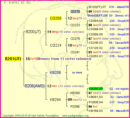 Pedigree of B201(JT) :
four generations presented<br />it's temporarily unavailable, sorry!