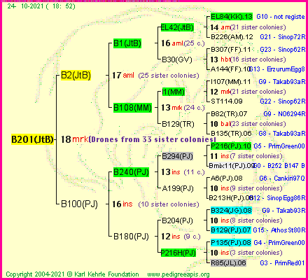 Pedigree of B201(JtB) :
four generations presented
it's temporarily unavailable, sorry!