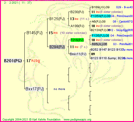 Pedigree of B201(PG) :
four generations presented
it's temporarily unavailable, sorry!