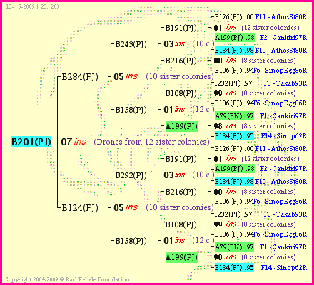 Pedigree of B201(PJ) :
four generations presented