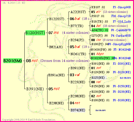 Pedigree of B201(SM) :
four generations presented