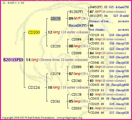 Pedigree of B201(SPD) :
four generations presented