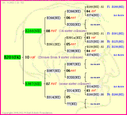 Pedigree of B201(TK) :
four generations presented