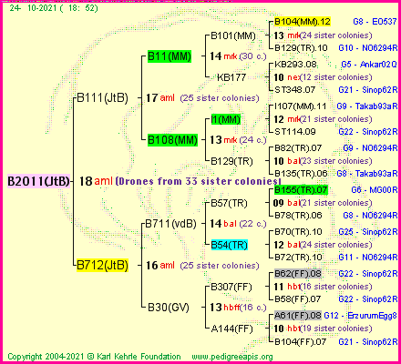 Pedigree of B2011(JtB) :
four generations presented
it's temporarily unavailable, sorry!