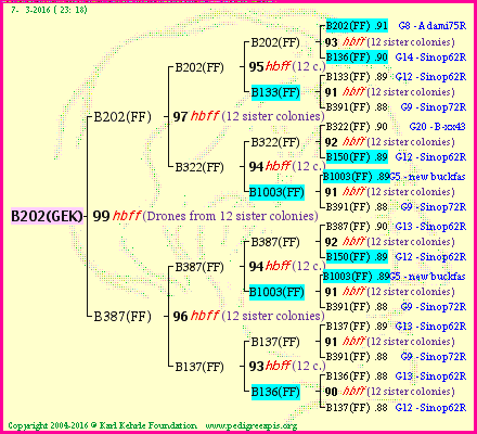 Pedigree of B202(GEK) :
four generations presented