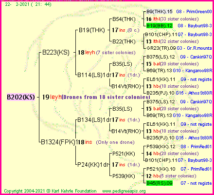 Pedigree of B202(KS) :
four generations presented
it's temporarily unavailable, sorry!