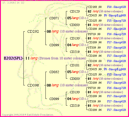 Pedigree of B202(SPL) :
four generations presented