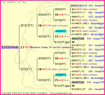 Pedigree of B203(AVM) :
four generations presented
it's temporarily unavailable, sorry!