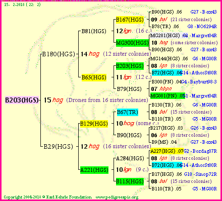 Pedigree of B203(HGS) :
four generations presented