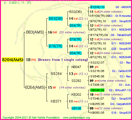 Pedigree of B204(AMS) :
four generations presented
it's temporarily unavailable, sorry!