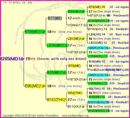 Pedigree of B205(ME)1dr :
four generations presented
it's temporarily unavailable, sorry!