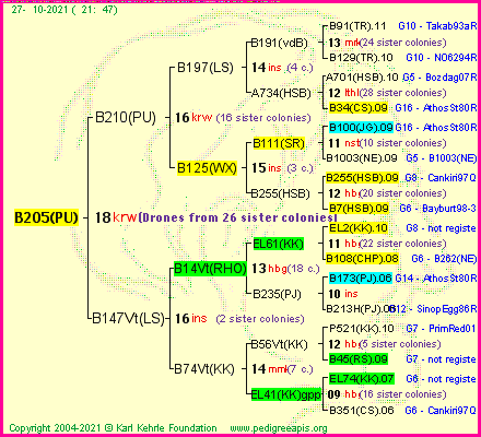 Pedigree of B205(PU) :
four generations presented
it's temporarily unavailable, sorry!