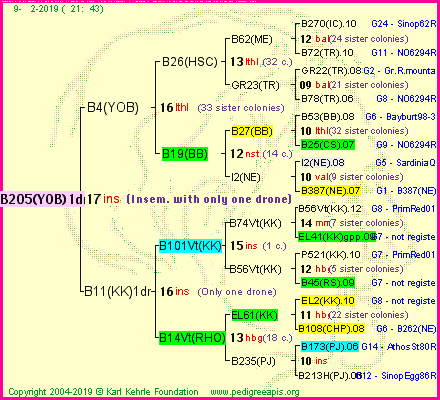 Pedigree of B205(YOB)1dr :
four generations presented<br />it's temporarily unavailable, sorry!