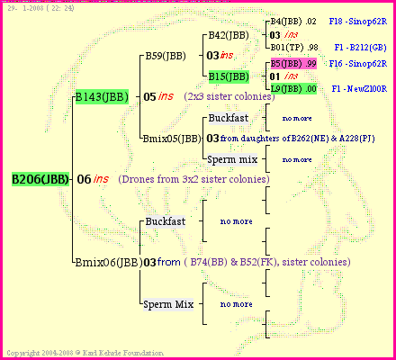 Pedigree of B206(JBB) :
four generations presented