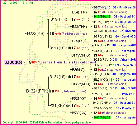 Pedigree of B206(KS) :
four generations presented
it's temporarily unavailable, sorry!