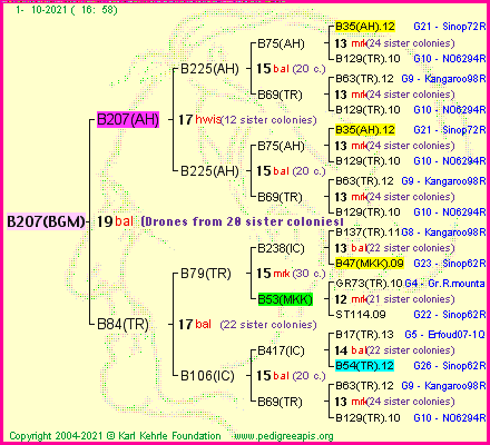 Pedigree of B207(BGM) :
four generations presented
it's temporarily unavailable, sorry!