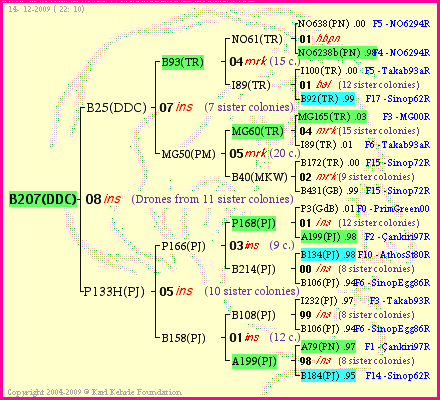 Pedigree of B207(DDC) :
four generations presented