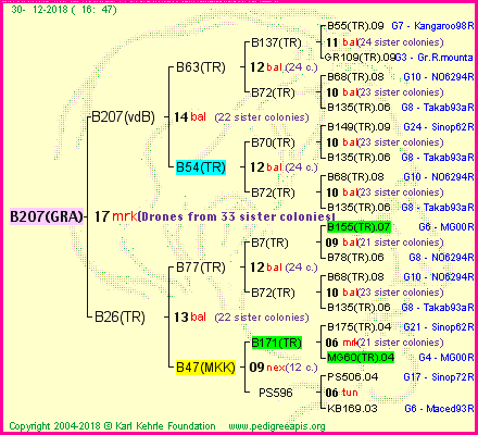 Pedigree of B207(GRA) :
four generations presented
it's temporarily unavailable, sorry!